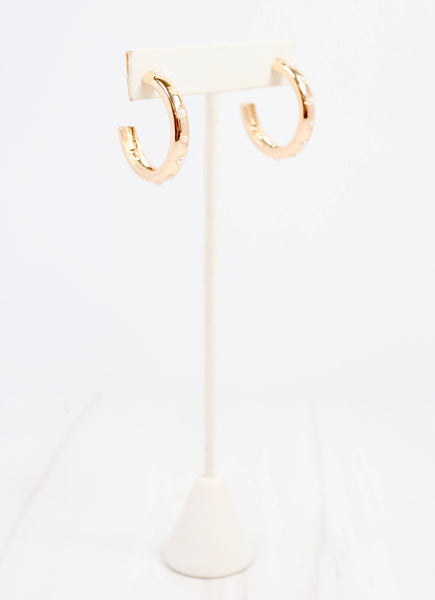 Caroline Hill - Dorothi Pearl Hoop Earring Gold: Default