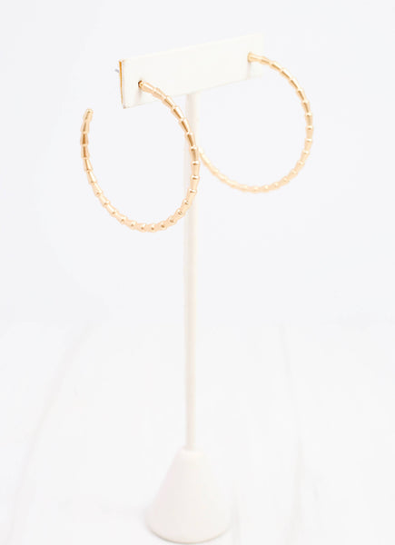 Caroline Hill - Holden Textured Hoop Earring Matte Gold: Default