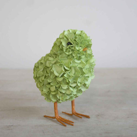 Hydrangea Chick - Green